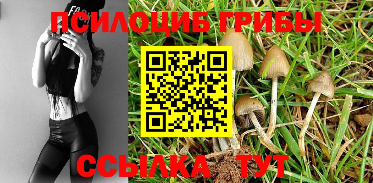 Галлюциногенные грибы Psilocybe  Вход с VPN  Шахты 